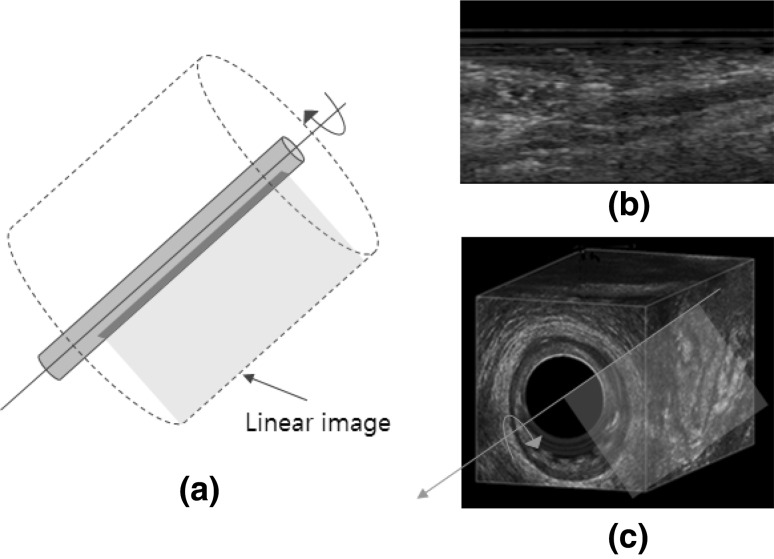 Fig. 6