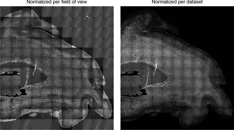 Figure 7—figure supplement 1.