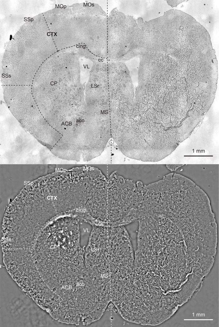 Figure 2—figure supplement 3.