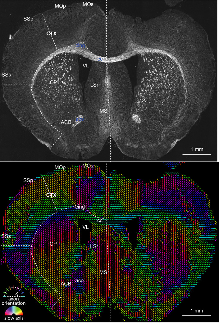 Figure 2—figure supplement 4.