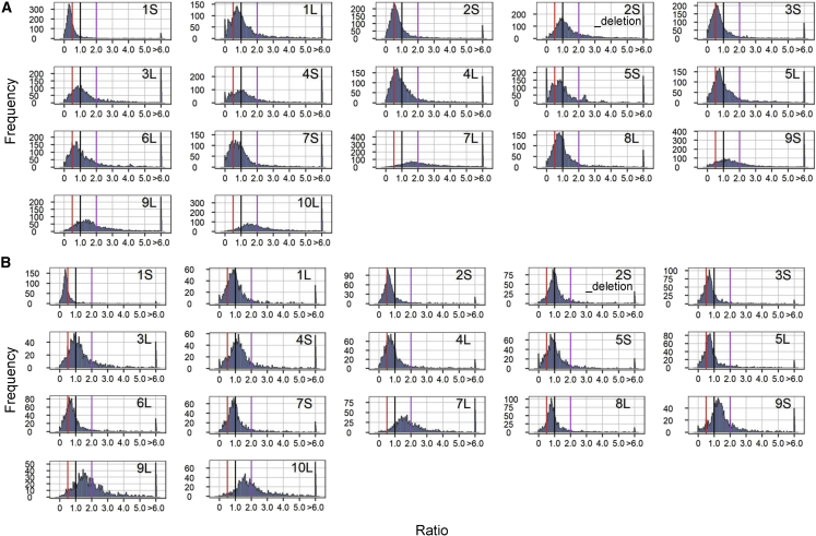 Figure 5