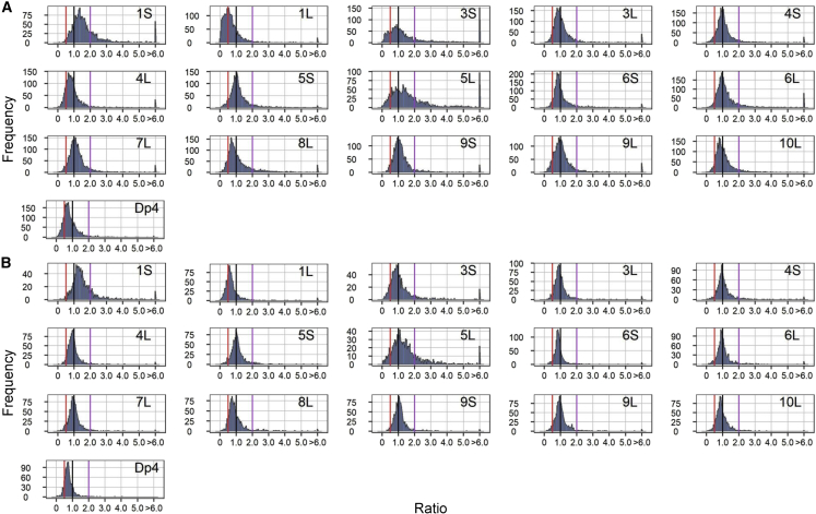 Figure 7