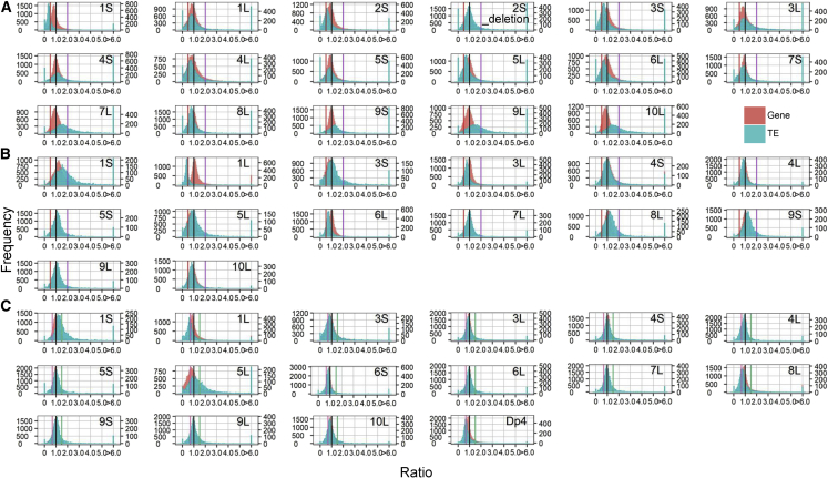 Figure 4