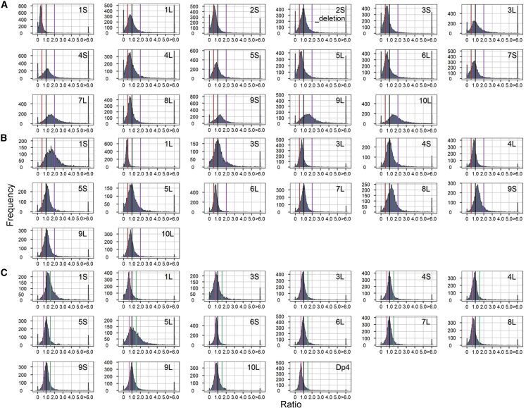 Figure 2