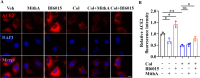 Figure 3—figure supplement 1.