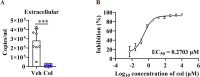 Figure 1—figure supplement 1.