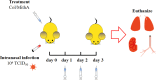 Figure 6—figure supplement 1.