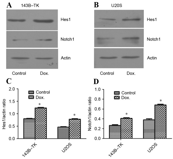 Figure 2.