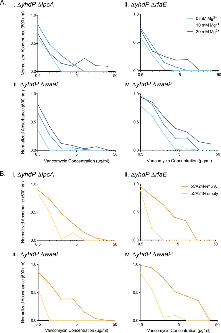 FIG 6