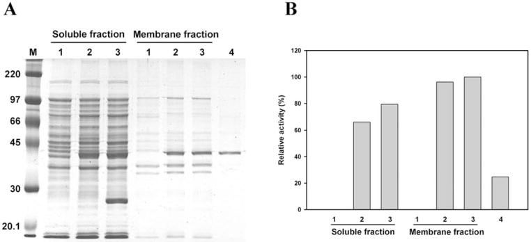 Fig. (6)