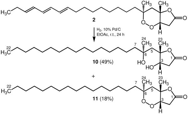 Scheme 2