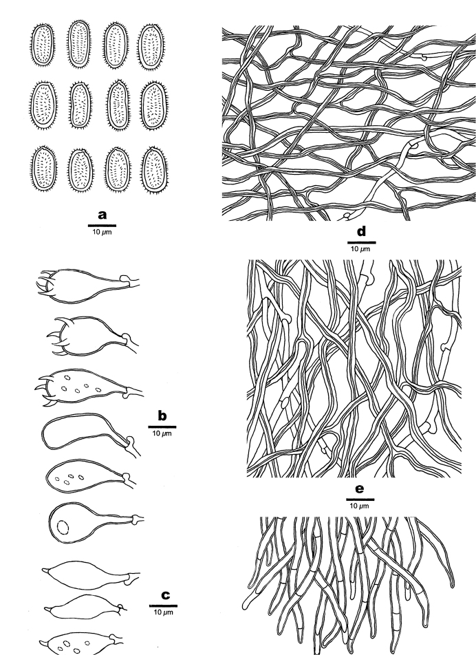 Figure 5.