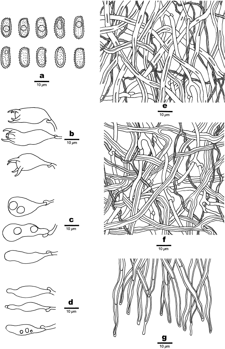 Figure 11.