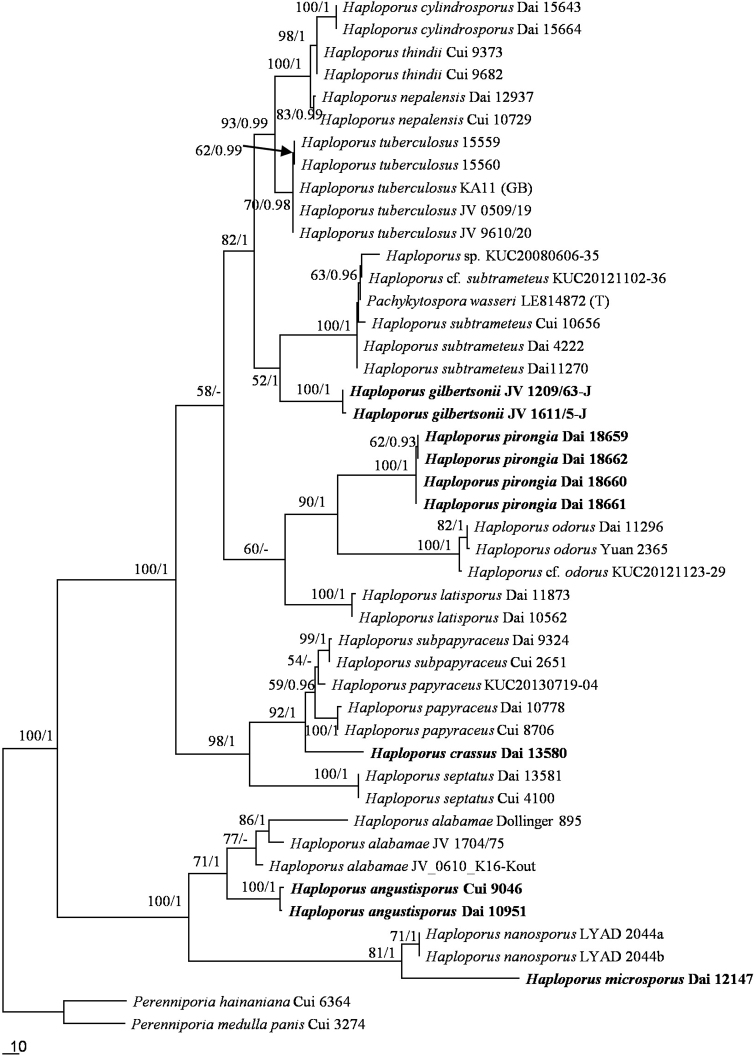 Figure 1.