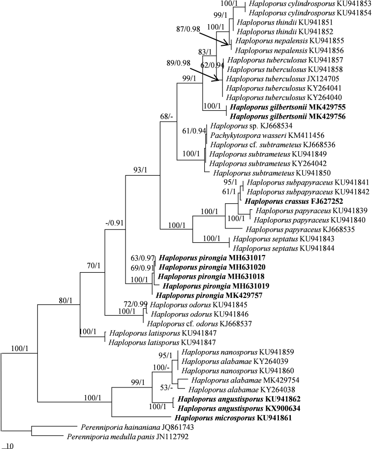 Figure 2.