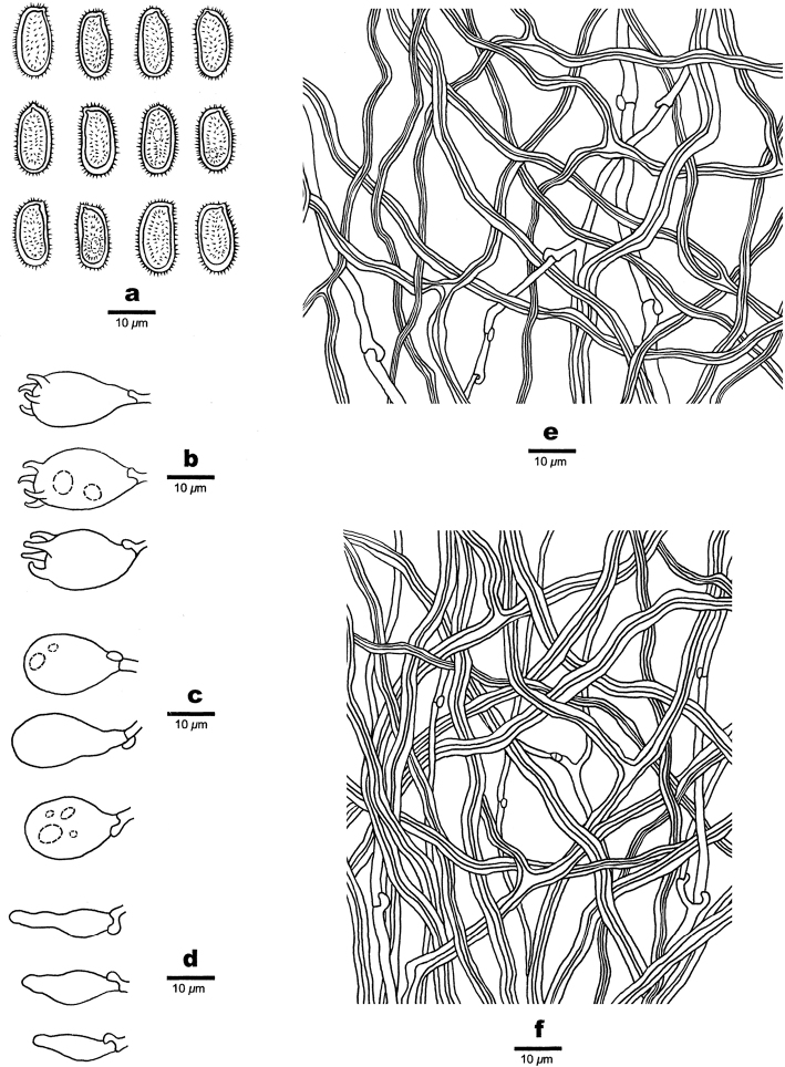 Figure 7.