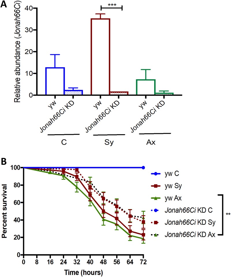 FIG 2