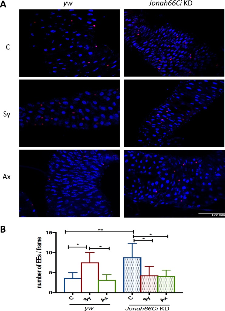 FIG 6