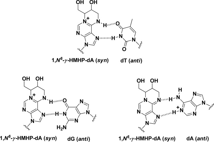 SCHEME 6.