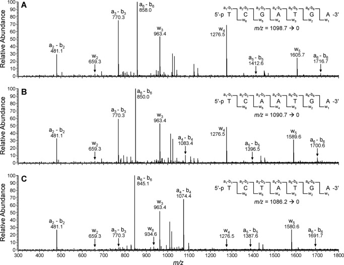 FIGURE 7.