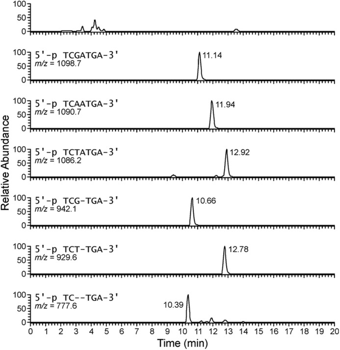 FIGURE 6.