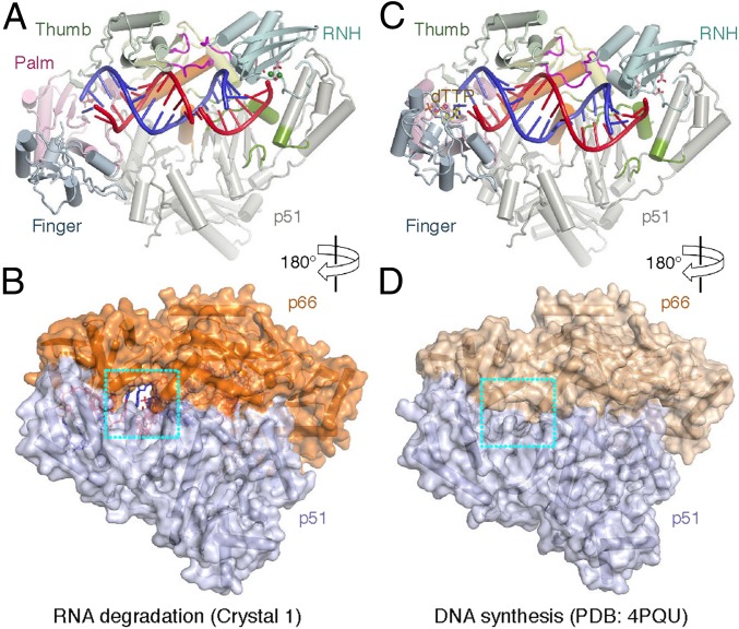 Fig. 4.