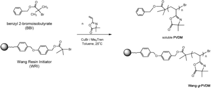 Scheme 3