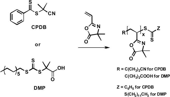 Scheme 4