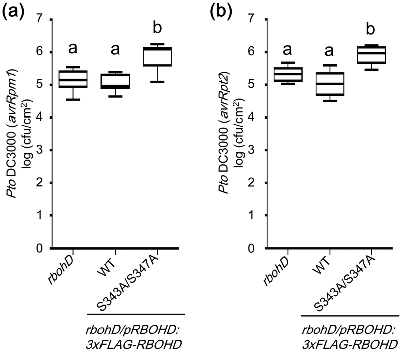 Figure 7.