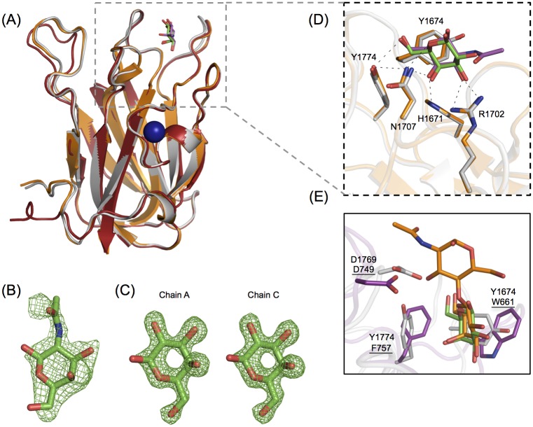 Fig 4