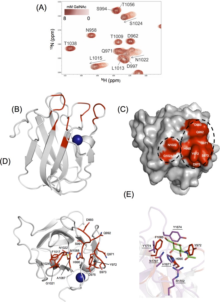 Fig 5