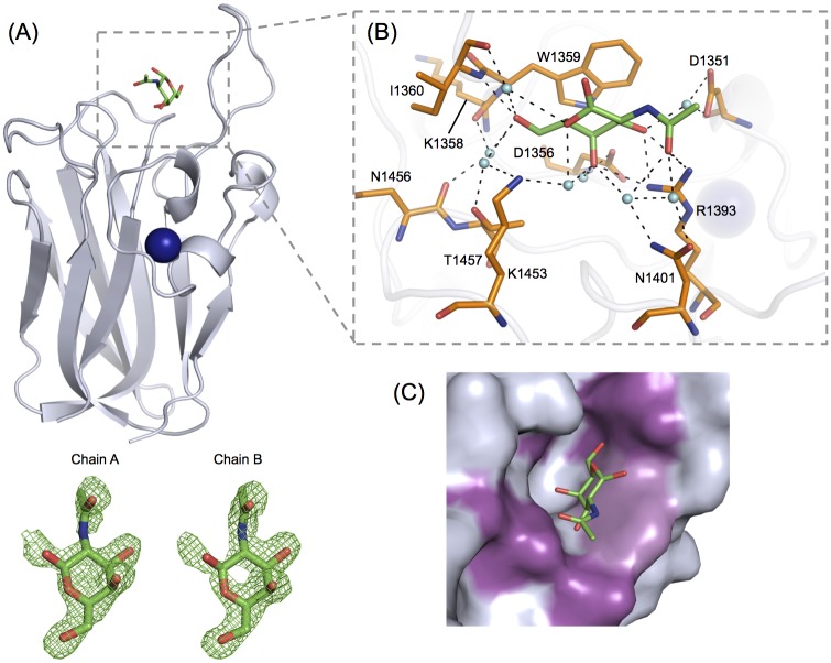 Fig 6