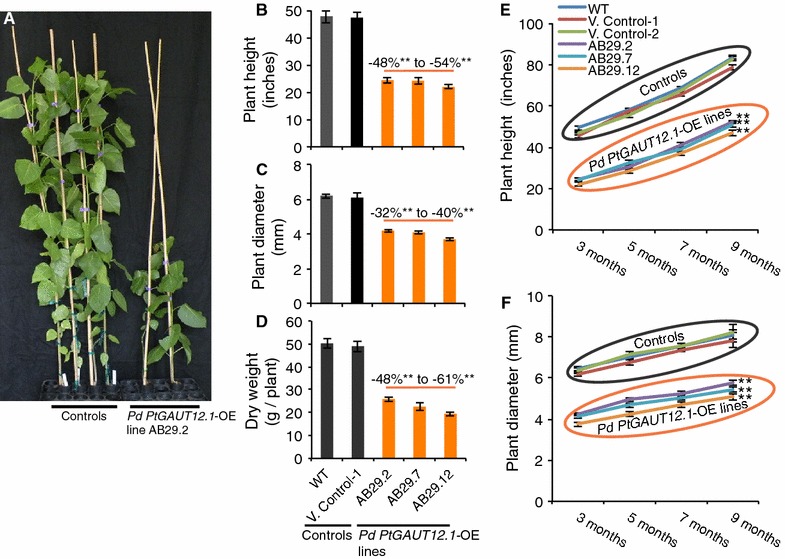 Fig. 6