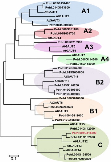 Fig. 1