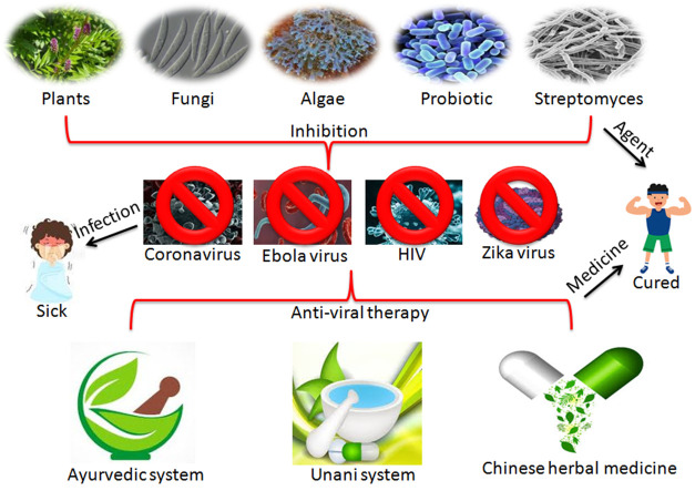 Unlabelled Image