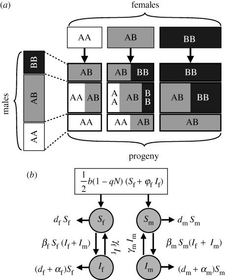 Figure 1.