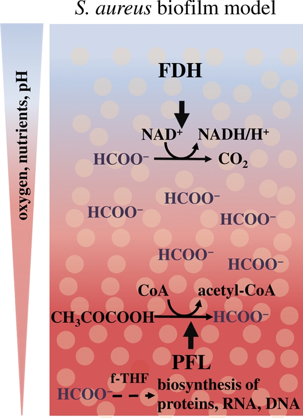 FIG. 9.