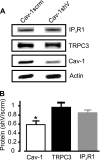 FIGURE 3.