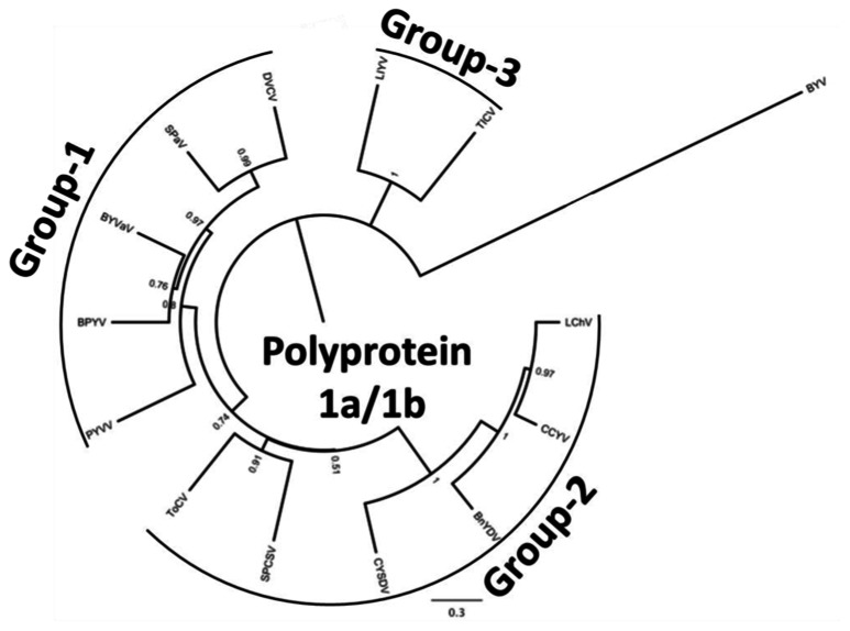 FIGURE 2