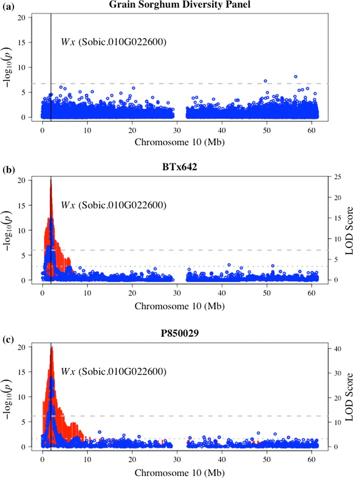 Fig. 3