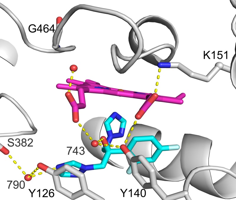 FIG 1