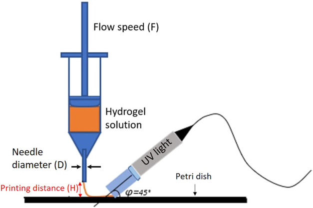 FIGURE 1