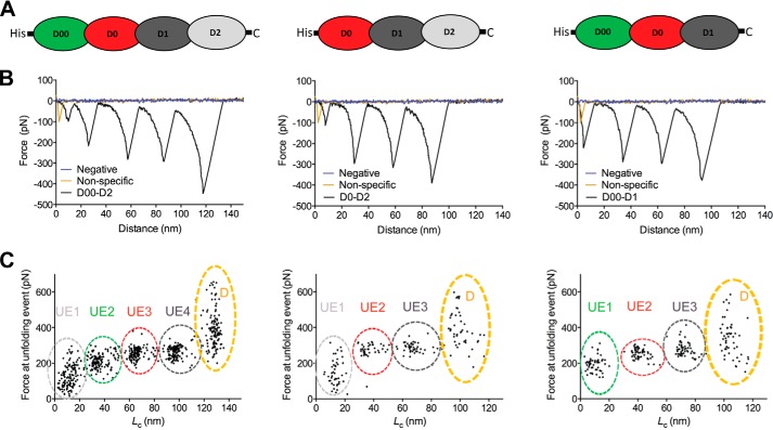 FIGURE 10.