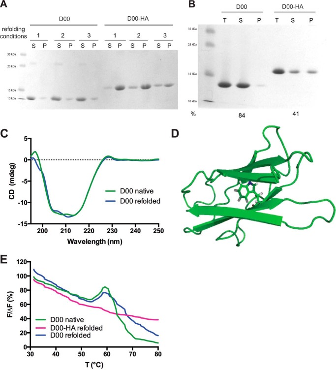 FIGURE 4.