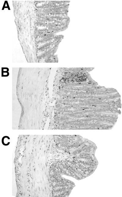 FIG. 6