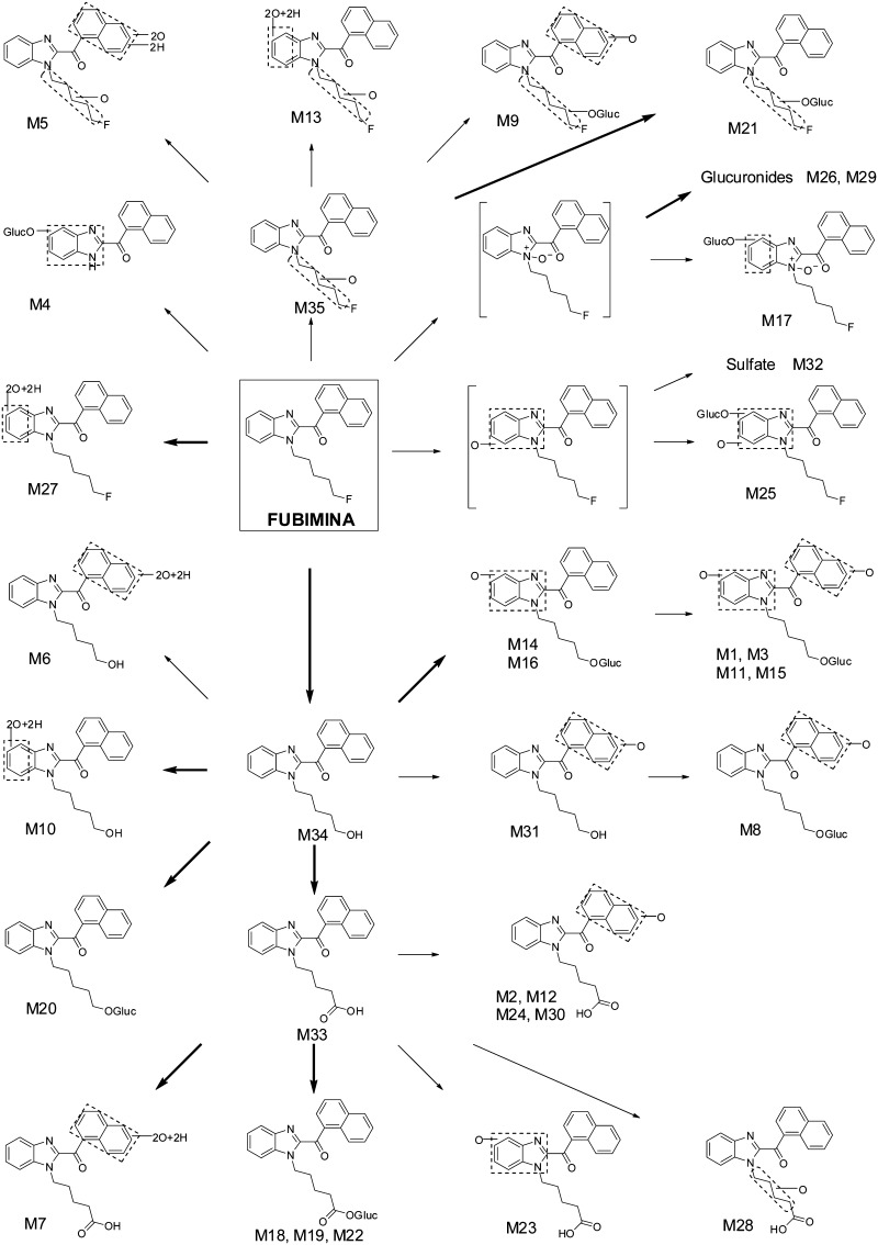 Fig. 4