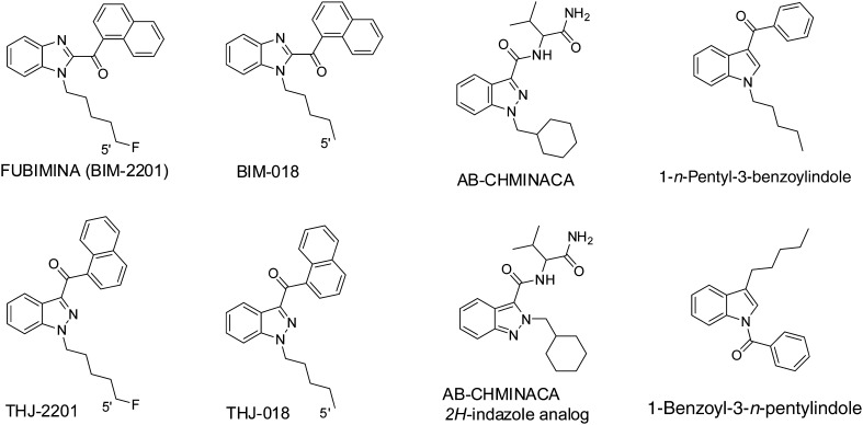 Fig. 1