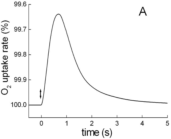 Fig. 5