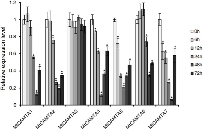 Figure 5