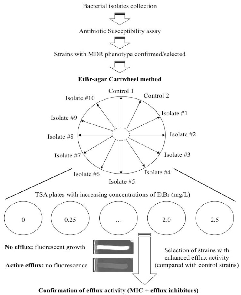 Fig. (1)